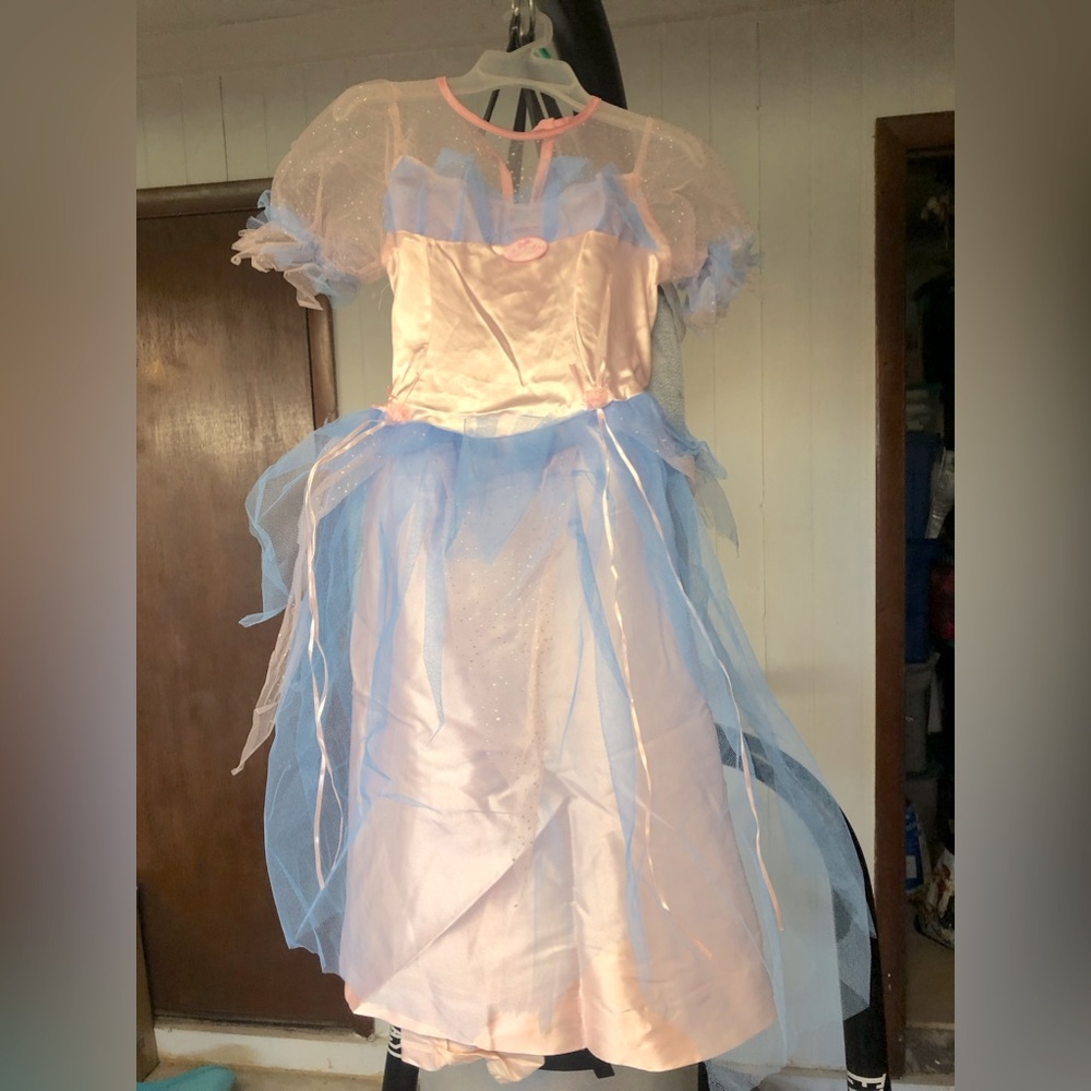 ***SOLD***Barbie Swan Lake Costume (Child Medium)